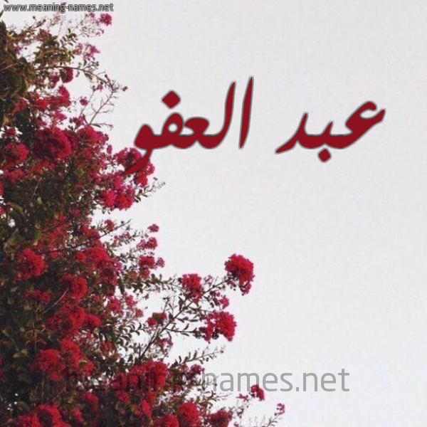 شكل 18 صوره الورد الأحمر للإسم بخط رقعة صورة اسم عبد العفو ABD-ALAFO